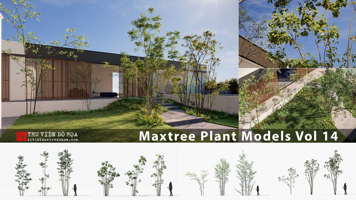 [ 3dsmax ] Maxtree Plant Models Vol 14