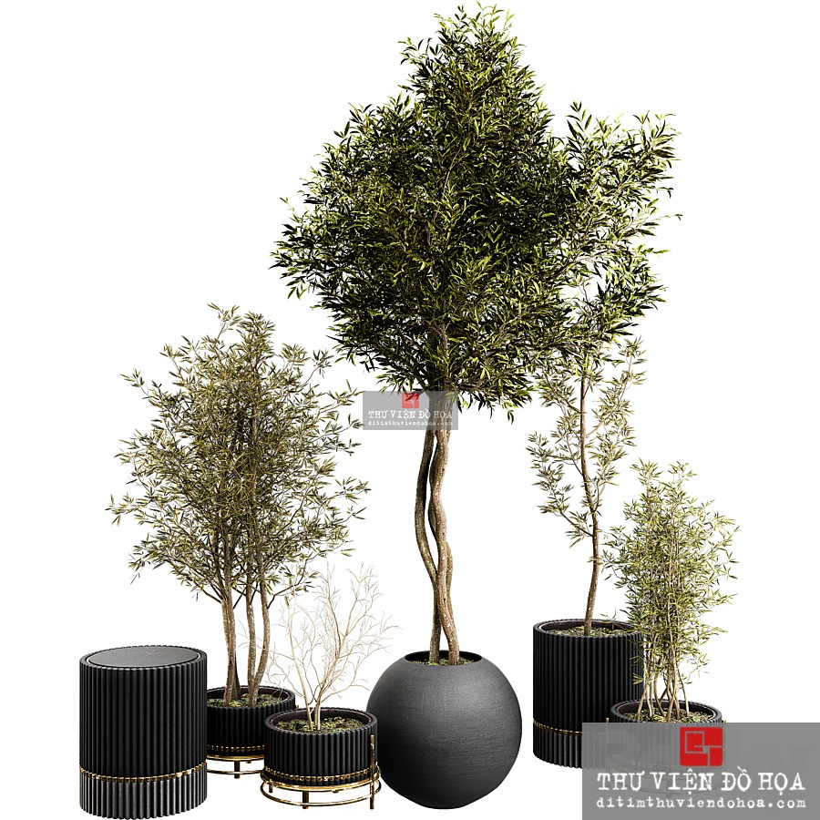 [VIP] 3dsmax PRO 2022 | Plant Collection Set 03-4394099 post thumbnail image