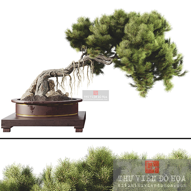 [VIP] 3dsmax-Plants-Indoor-Bonsai tree 58-4624919.6364de62bdbb2 post thumbnail image
