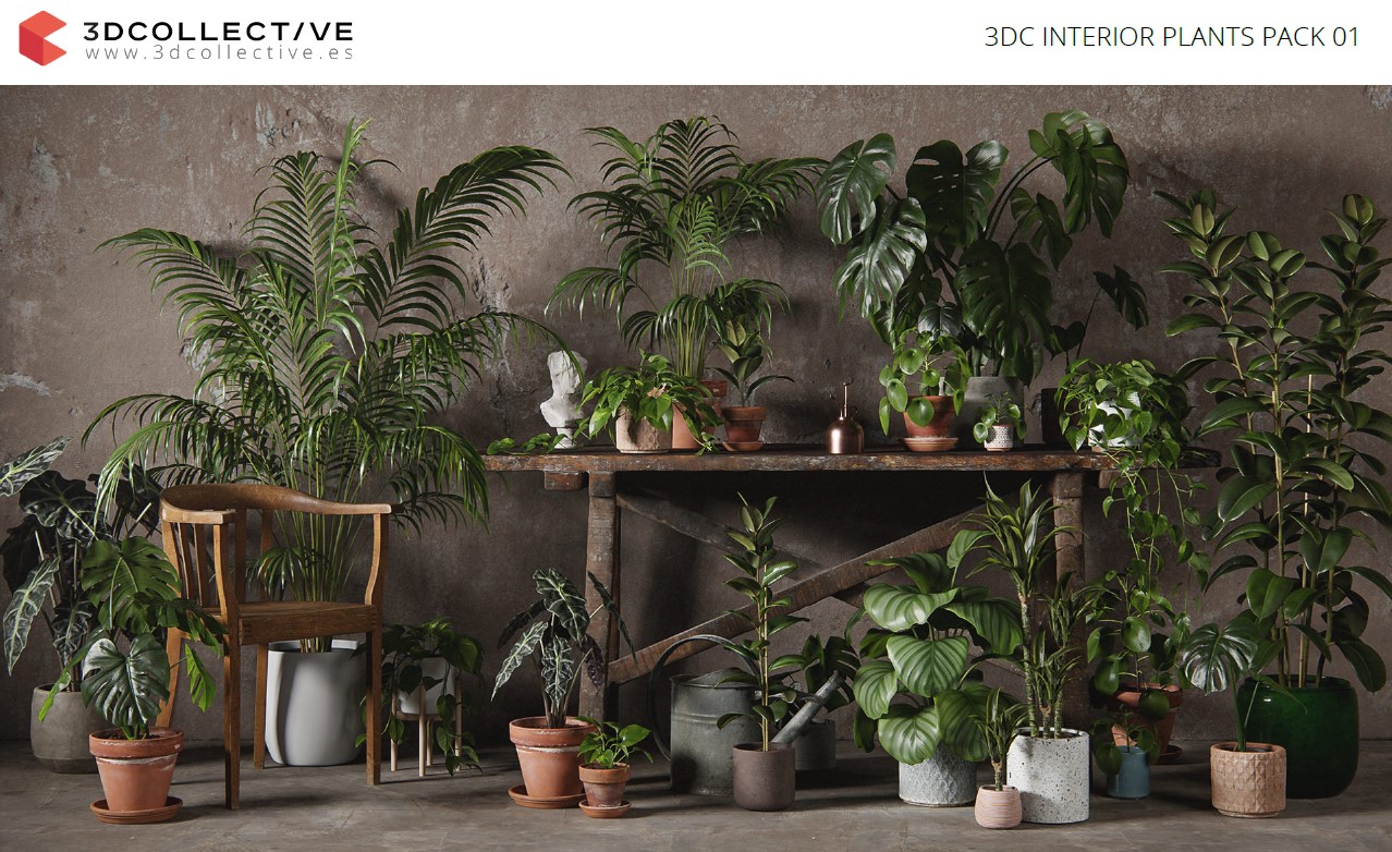 3DCollective Interior Plants Pack 01-